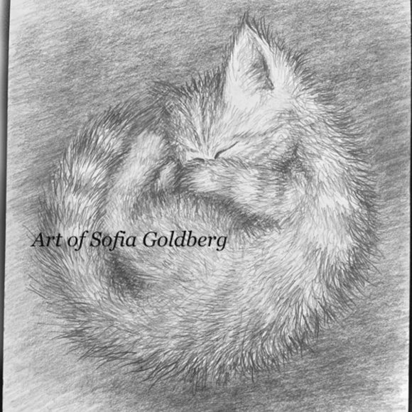 Sleeping cutie. Little kitten. Original drawing on paper. By Sofia Goldberg